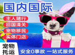 海口航空邮寄国际宠物托运 【国